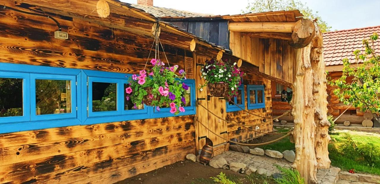 Valea Celor Doisprezece Hotel Piriu Dobreni Bagian luar foto